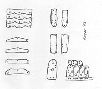 Lamellae